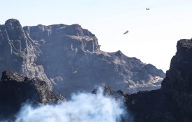 Madeira – Os incêndios florestais e o que urge fazer