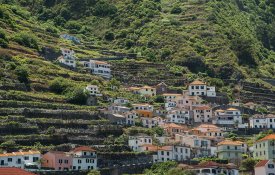 Milhares na Madeira não têm acesso a saneamento básico