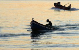  Pescadores exigem medidas de protecção