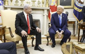 Trump International Hotel e Torre, Gaza