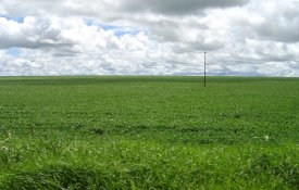 Brasil aprovou mais agrotóxicos em 200 dias que a UE em oito anos