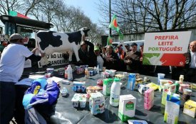  CNA pede «medidas práticas» para defesa da agricultura e do mundo rural