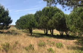 Câmara de Sesimbra critica «falta de imparcialidade» em reportagem sobre o Meco