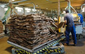 Corticeira Amorim fecha produção de Silves em Junho