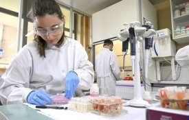 Investigação científica: o problema da precariedade