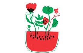 Escritores, poetas, cronistas e autores lusófonos gritam «paz na Palestina»