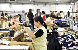 Calvelex: uma empresa familiar que paga subsídios de refeição de 2,50