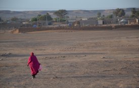 Agravamento da «situação alimentar» nos campos de refugiados saarauís