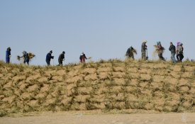 Erguida uma muralha verde de 1865 km em torno de três desertos na China