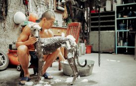 Imaginar e habitar outros mundos na 25.ª Mostra de Cinema ao Ar Livre de Tavira