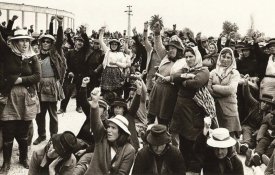 Apresentação do livro «Mulheres do Sul Fizeram a Reforma Agrária»
