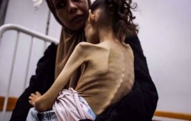 Alerta para «o caos e a fome» que Israel propaga na Faixa de Gaza