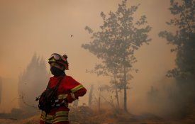 Incêndios florestais continuam a fustigar o País ano após ano