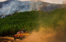Incêndios: “Os Verdes” defendem que Governo deve explicações ao país 