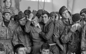 Venham mais três meses! Exposição «Venham mais Cinco» prolongada