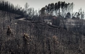 O que dizia o relatório da Comissão Técnica Independente sobre os incêndios de 2017