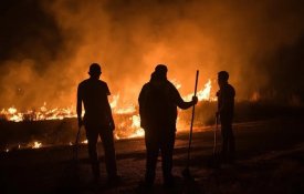 Protestos contra a política florestal do PP na Galiza 