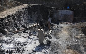 CNA denuncia apoio «escasso» a agricultores vítimas dos incêndios