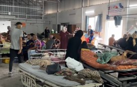 Médica australiana descreve a «matança» na Cidade de Gaza
