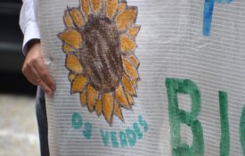 Fim do ICNF? Esta machadada pode «ser fatal para a conservação da natureza»