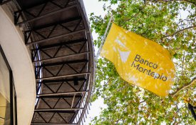 Tiago Mota Saraiva: «Queremos construir o mutualismo do século XXI»