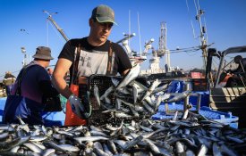 «Dor e luto» dos pescadores à espera de «respostas estruturais»