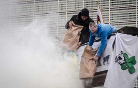  Produtores de leite protestaram em Bruxelas contra desregulação do sector