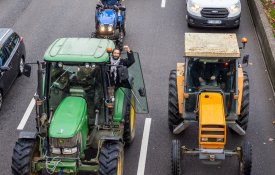 Acordo UE-Mercosul: «agricultores ignorados» e «democracia marginalizada»
