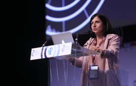 Dirigente da Fenprof impedida de entrar na Palestina