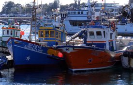 Sinapsa fecha acordo para aumentos salariais com Mútua dos Pescadores e Ponto Seguro