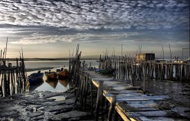 Nos despojos da tempestade