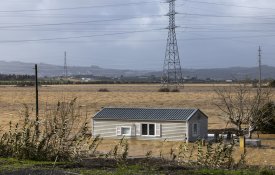 Catástrofes: a liberalização falha o teste do algodão