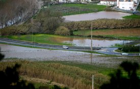 CNA questiona Governo sobre apoios a agricultores afectados pelas intempéries