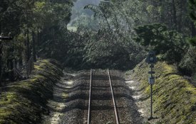 Utentes da Linha do Oeste exigem a reposição da circulação de comboios