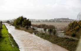 Agricultores de Coimbra exigem reparação urgente do canal de rega do Mondego