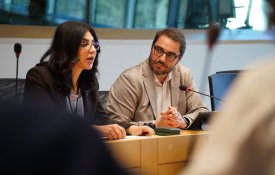 Solidariedade com a Palestina foi levada ao PE, a contragosto de alguns