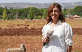 Apesar do cessar-fogo no Líbano, Israel assassinou deliberadamente uma jornalista