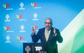 Pinto Luz quer dar a TAP aos privados rapidamente e em plena crise da aviação