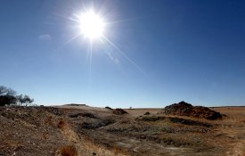  CNA: Ministério da Agricultura «falha outra vez»