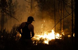Incêndios previnem-se com políticas públicas de defesa da floresta