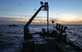 Pescadores contra suspensão da pesca da sardinha em 2019