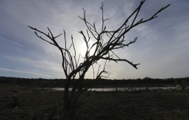  PEV. Não há conservação da natureza sem investimento