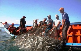 Pescas perdem 25% da captura em 2020