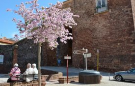 Câmara de Silves assinala Dia Internacional dos Monumentos e Sítios