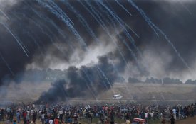Distrito de Viseu lembra massacre em Gaza e questão dos refugiados