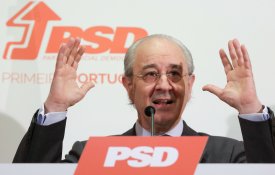 PSD quer reduzir direitos para promover natalidade
