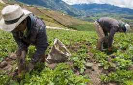 Prossegue a matança de dirigentes sociais e agricultores na Colômbia