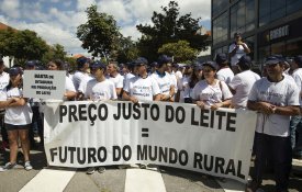 Agricultores de Aveiro vão manifestar-se porque a situação é «dramática»