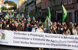 Agricultores manifestam-se em Ansião