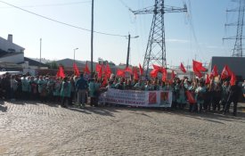  Trabalhadores da Fico Cables intensificam contestação com novas greves